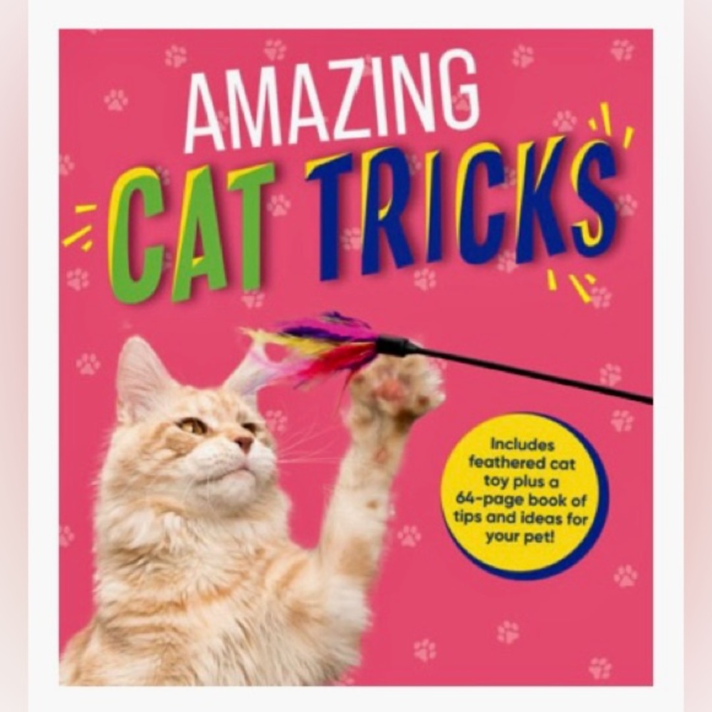 Teach Your Cat to Fetch!